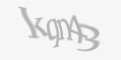 Защитный код